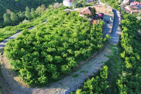 Продажа земельного участка в Трабзоне, Турция, №228501 – фото 15
