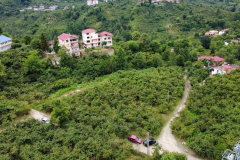 Land plot for sale in Arsin, Trabzon, Turkey, studio, No. 237528 – photo 10