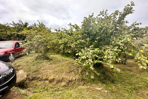 Land plot for sale in Arsin, Trabzon, Turkey, studio, No. 237528 – photo 8