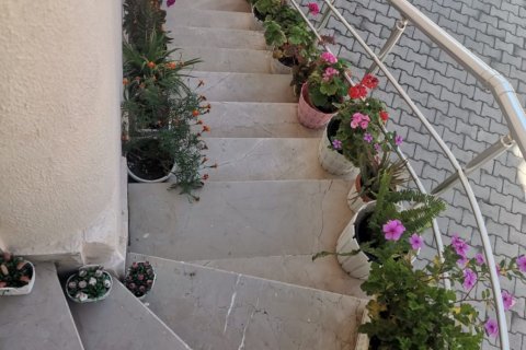 Apartment for sale in Kargicak, Alanya, Antalya, Turkey, 3 bedrooms, 150m2, No. 91011 – photo 17