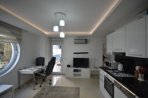 1+1 Leilighet  i Alanya, Antalya, Tyrkia Nr. 102531 - 12