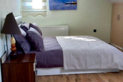 Erhvervsejendom i Fethiye, Mugla, Tyrkiet Nr. 225767 - 17