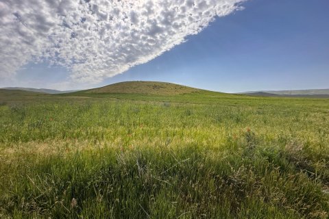 Продажа земельного участка  в Агры, Турция, №228472 – фото 12
