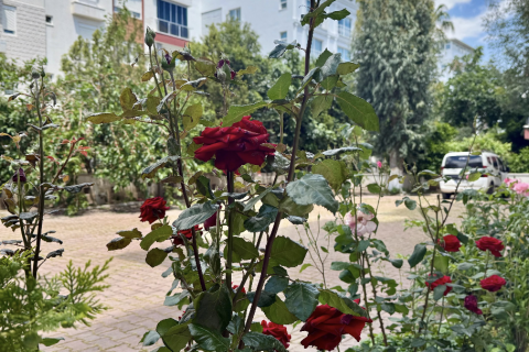 Daire 2+1 Konyaaltı, Antalya, Türkiye №225360 - 6