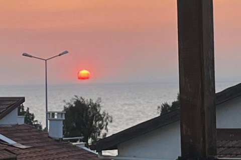    Kuşadası, Aydın, Türkiye №228933 - 19