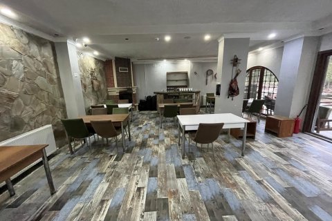 هتل در Ardesen ، ترکیه 560 متر مربع. شماره 213328 - 15