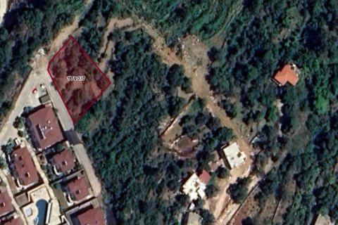 Land  in Alanya, Antalya, Türkei Nr. 96421