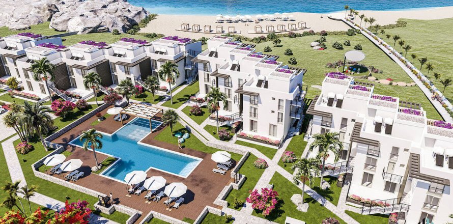 i Famagusta, Nr. 95719