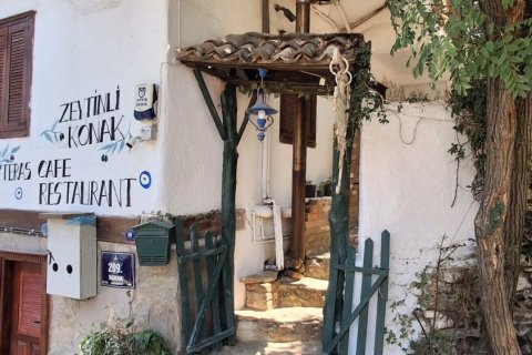 Kommersiella fastigheter i Selcuk, Izmir, Turkiet Nr. 223247 - 8