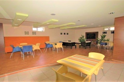 4+1 Lägenhet i Oba, Antalya, Turkiet Nr. 133721 - 27