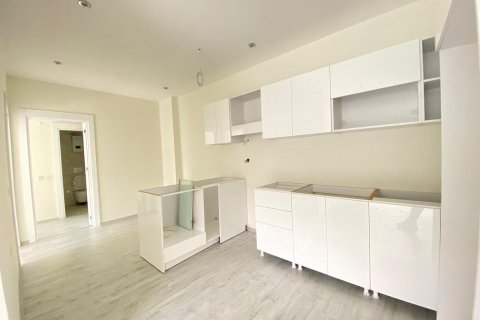 2+-1 Lägenhet i Alanya, Antalya, Turkiet Nr. 101996 - 12