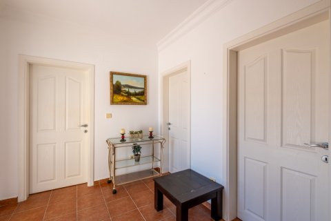 Lejlighed  i Avsallar, Antalya, Tyrkiet Nr. 222434 - 21