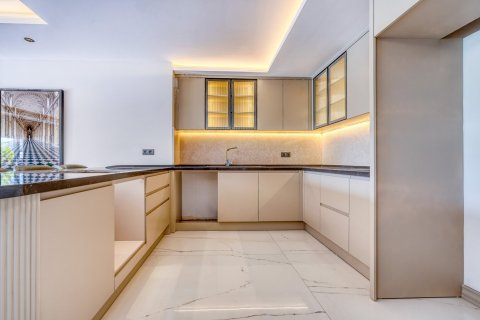 Villa in Tepe, Alanya, Antalya, Türkei Nr. 226587 - 8