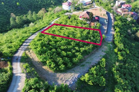 Продажа земельного участка в Трабзоне, Турция, №228501 – фото 2