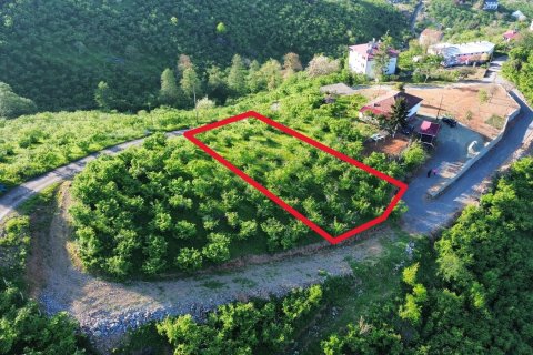 Земельный участок  в Трабзоне, Турция №228501