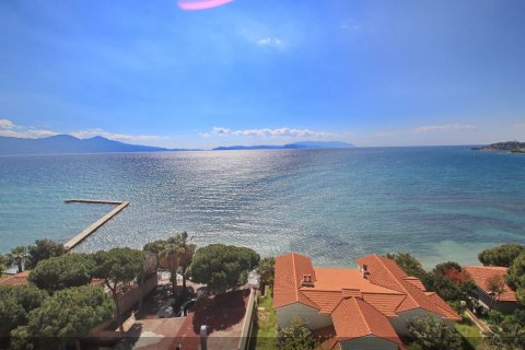Hotel  in Kusadasi, Aydin, Türkei Nr. 108002 - 4