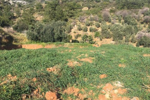 Land  in Cikcilli, Antalya, Türkei Nr. 96187 - 5