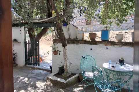 Kommersiella fastigheter i Selcuk, Izmir, Turkiet Nr. 223247 - 13