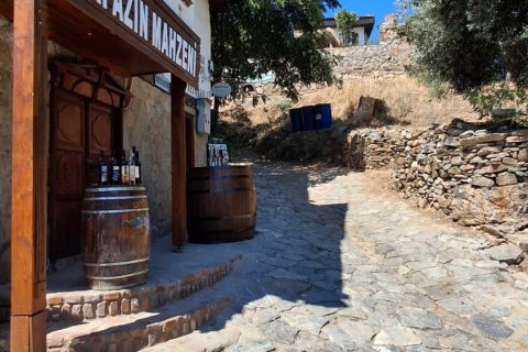 Kommersiella fastigheter i Selcuk, Izmir, Turkiet Nr. 223247 - 12