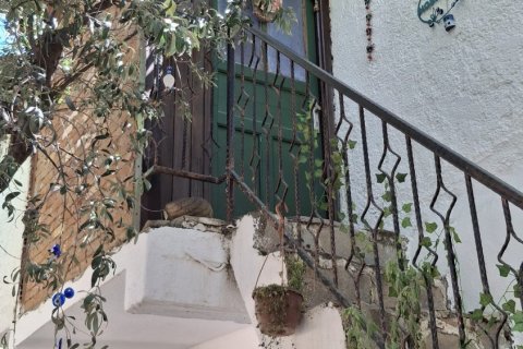 Kommersiella fastigheter i Selcuk, Izmir, Turkiet Nr. 223247 - 11