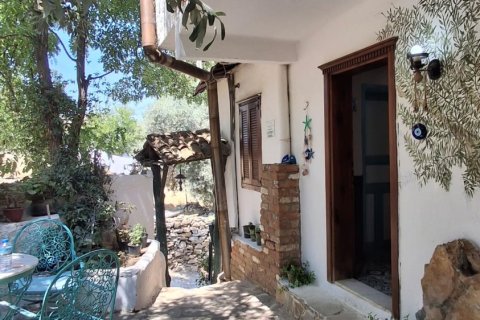 Kommersiella fastigheter i Selcuk, Izmir, Turkiet Nr. 223247 - 10