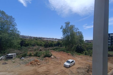 in Oba, Antalya, Türkei Nr. 100719 - 6