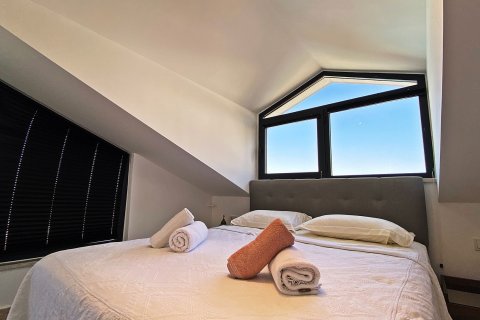 Villa 5+1 Ölüdeniz, Muğla, Türkiye №212993 - 13
