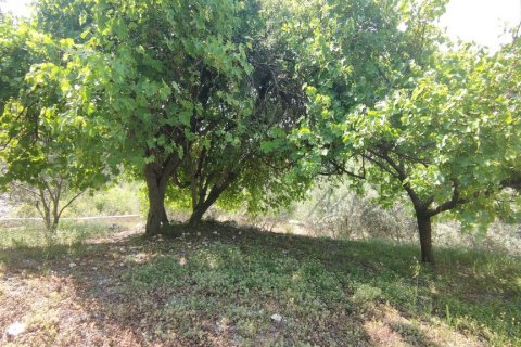 3+1 Villa  i Kalkan, Antalya, Tyrkia Nr. 140701 - 22