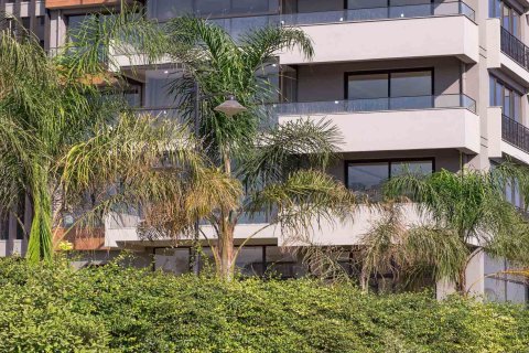 Oktay Midu  i Bursa, Turkiet Nr.86965 - 4