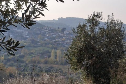   i Selcuk, Izmir, Turkiet Nr. 223248 - 2