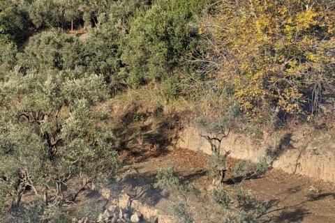   i Selcuk, Izmir, Turkiet Nr. 223248 - 3