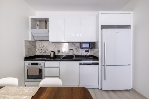 Wohnung  in Alanya, Antalya, Türkei Nr. 226914 - 11