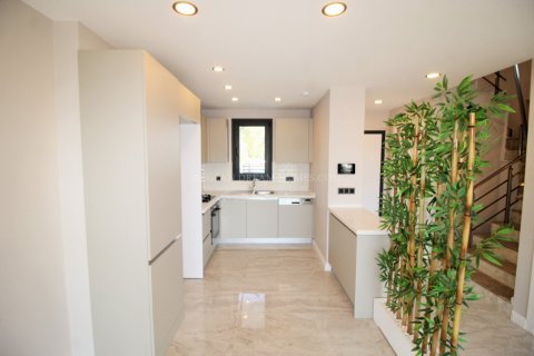 3+1 Villa  in Aydin, Türkei Nr. 66575 - 4