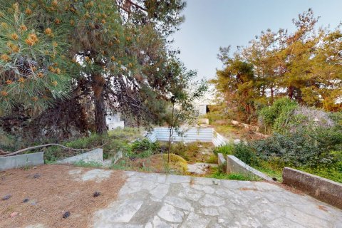 Land plot for sale  in Girne, Northern Cyprus, 4 bedrooms, 7632m2, No. 103699 – photo 13