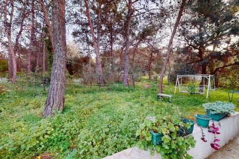 Land plot for sale  in Girne, Northern Cyprus, 4 bedrooms, 7632m2, No. 103699 – photo 12