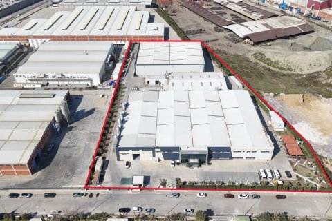 Commercial property for sale in Turgutlu, Manisa, Turkey, 9850m2, No. 223279 – photo 24