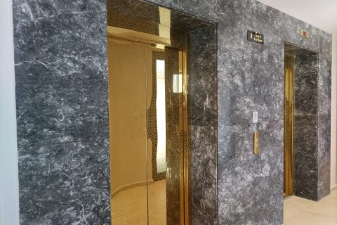 2+1 Lägenhet i Allure, Altintash, Antalya, Turkiet Nr. 226257 - 21