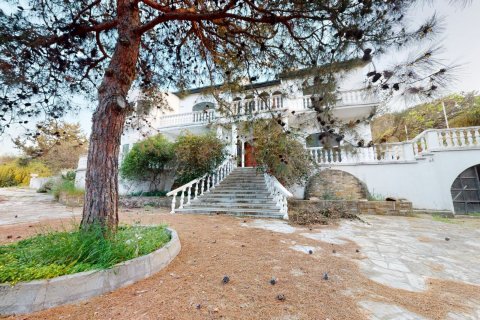 Land plot for sale  in Girne, Northern Cyprus, 4 bedrooms, 7632m2, No. 103699 – photo 14
