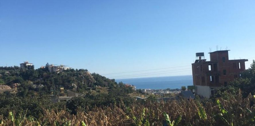 Land  in Cikcilli, Antalya, Türkei Nr. 96187
