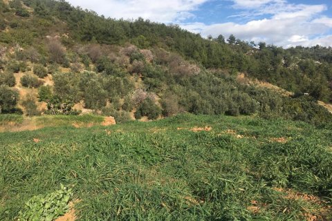 Land  in Cikcilli, Antalya, Türkei Nr. 96187 - 4
