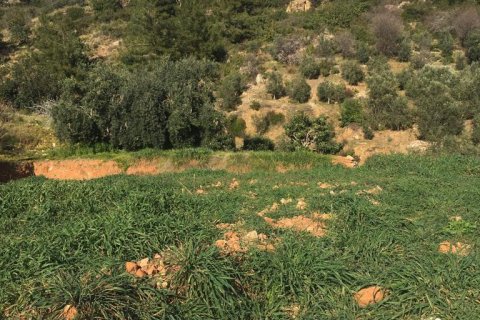 Land  in Cikcilli, Antalya, Türkei Nr. 96187 - 2