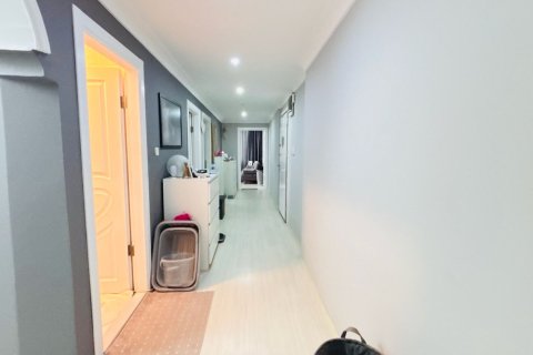 آپارتمان در Alanya ، ترکیه 155 متر مربع. شماره 226711 - 12