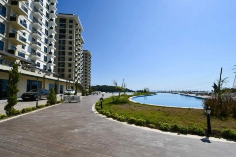 Продажа квартиры  в Махмутларе, Анталье, Турция 1+1, 55м2, №238026 – фото 5