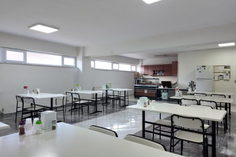 Erhvervsejendom  i Turgutlu, Manisa, Tyrkiet Nr. 223250 - 13