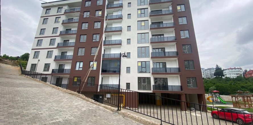 1+1 Apartment  in Trabzon, Turkey No. 228503