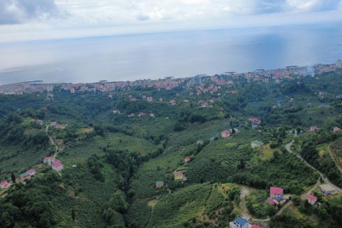 Продажа земельного участка в Вакфыкебире, Трабзоне, Турция, №228476 – фото 6