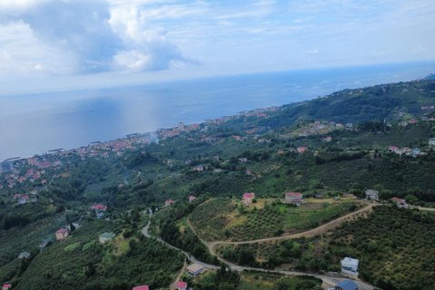 Продажа земельного участка в Вакфыкебире, Трабзоне, Турция, №228476 – фото 7