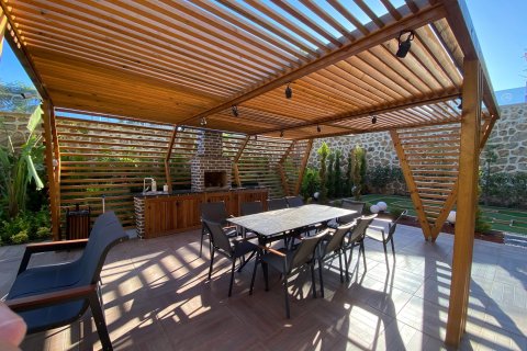 1+1 Leilighet i Alanya, Antalya, Tyrkia Nr. 216408 - 21