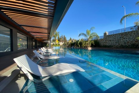 1+1 Leilighet i Alanya, Antalya, Tyrkia Nr. 216408 - 19