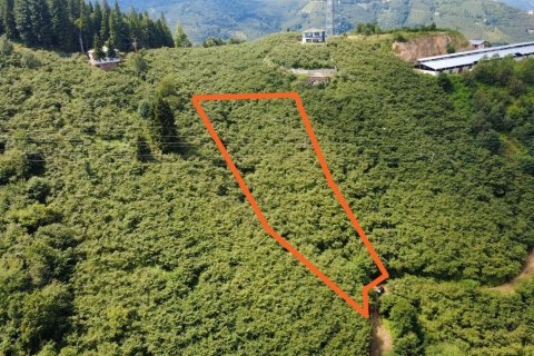 Продажа земельного участка в Арсине, Трабзоне, Турция, №232192 – фото 3